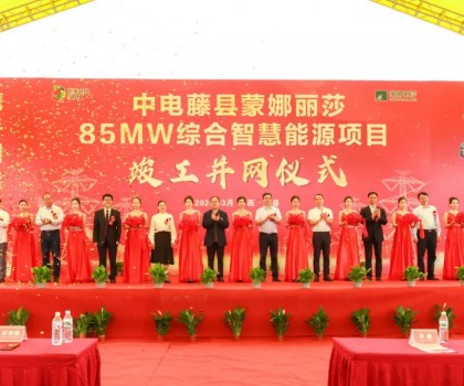 广西最大工商业屋顶光伏项目在蒙娜丽莎正式并网启用！