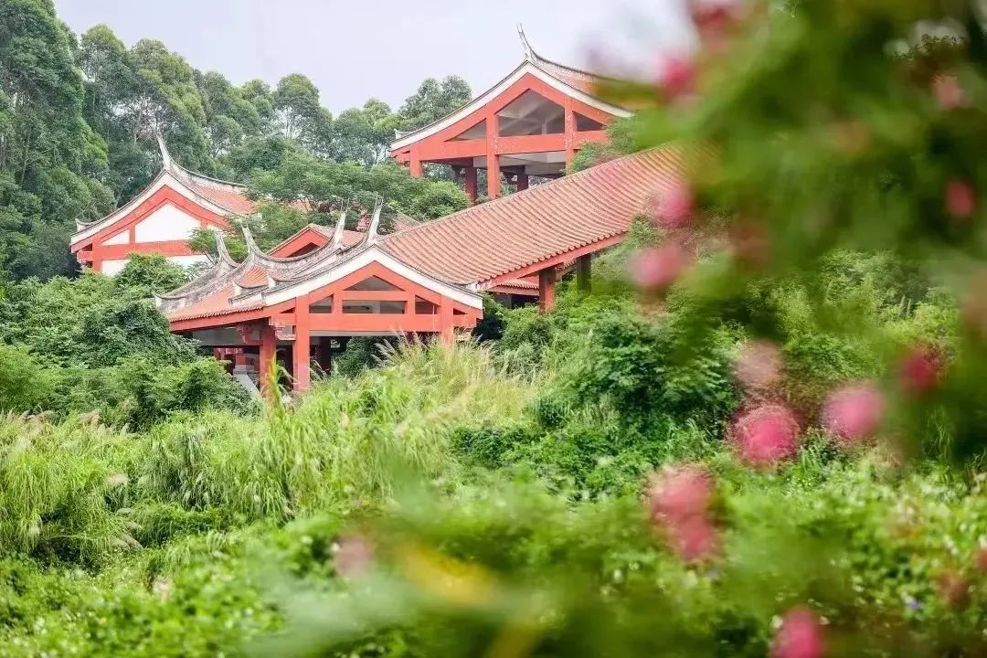 “世遗泉州 多彩磁灶窑”主题宣传周将在家博会期间举办！11.jpg