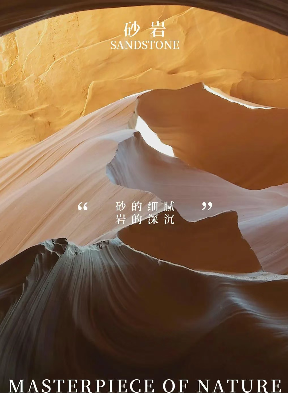 图片 36.png